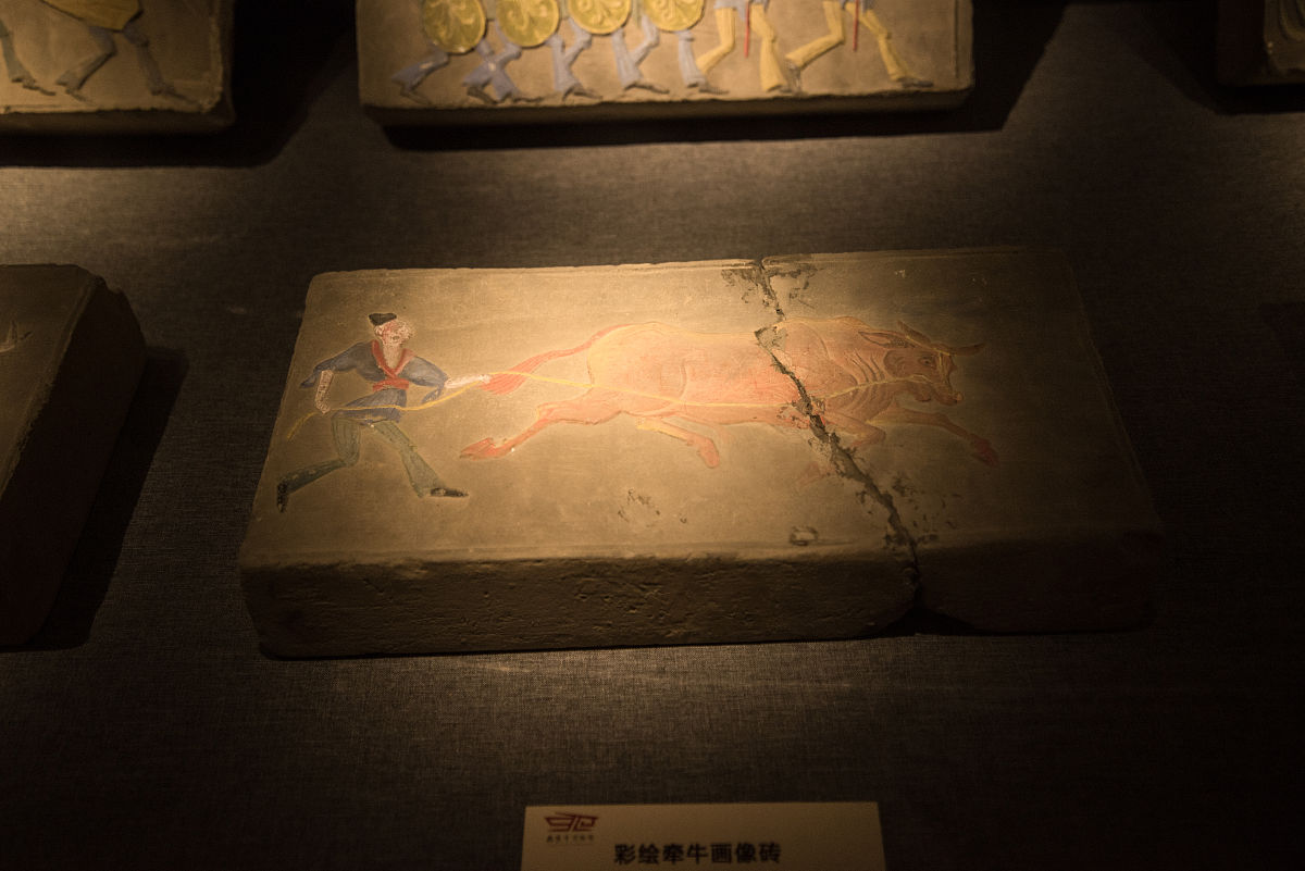 河南博物馆观后感：探寻华夏文明的瑰宝