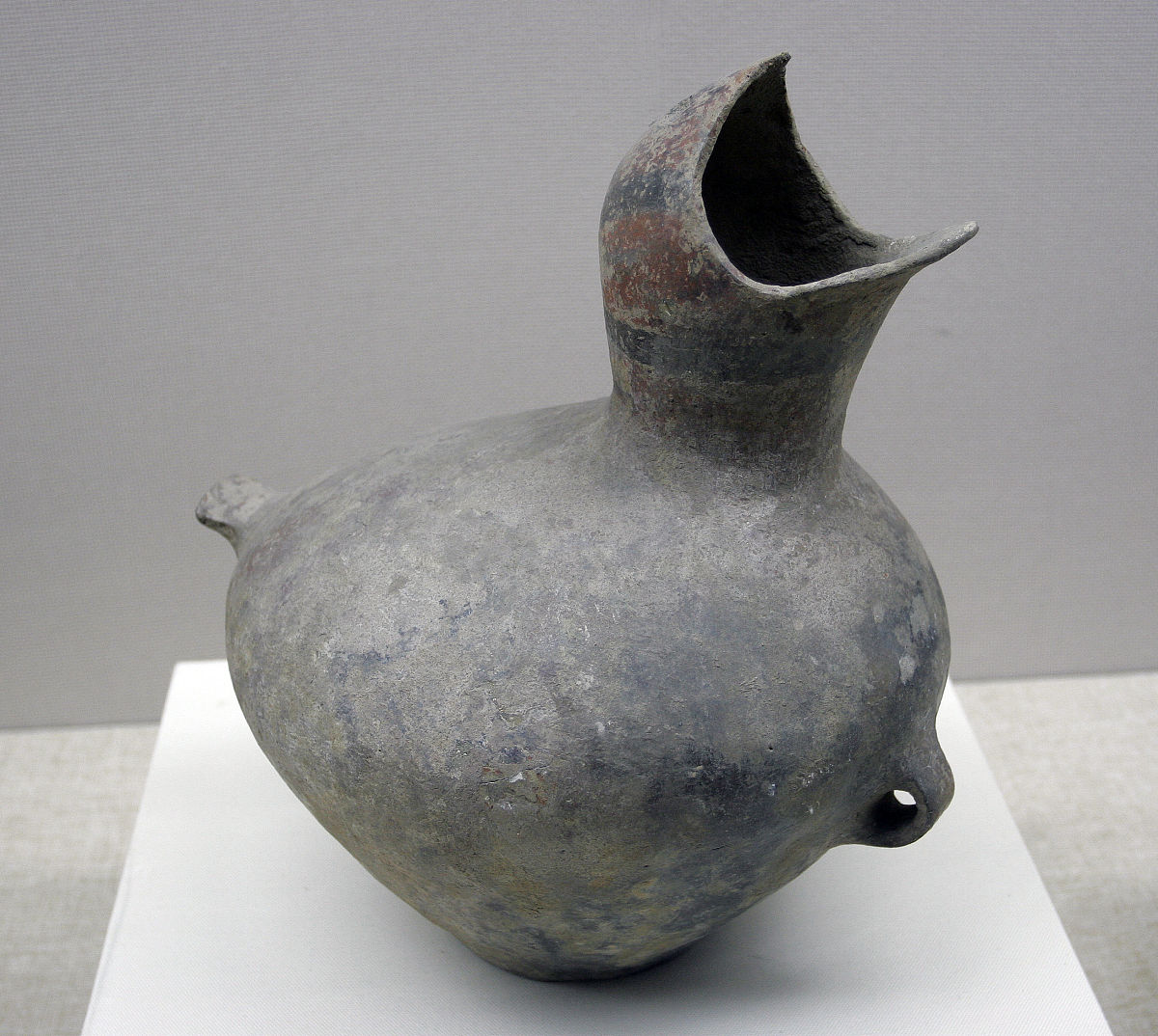 2008年08月12日 彩绘鸟形陶壶,新石器时代,内蒙古赤峰市翁牛特旗大南