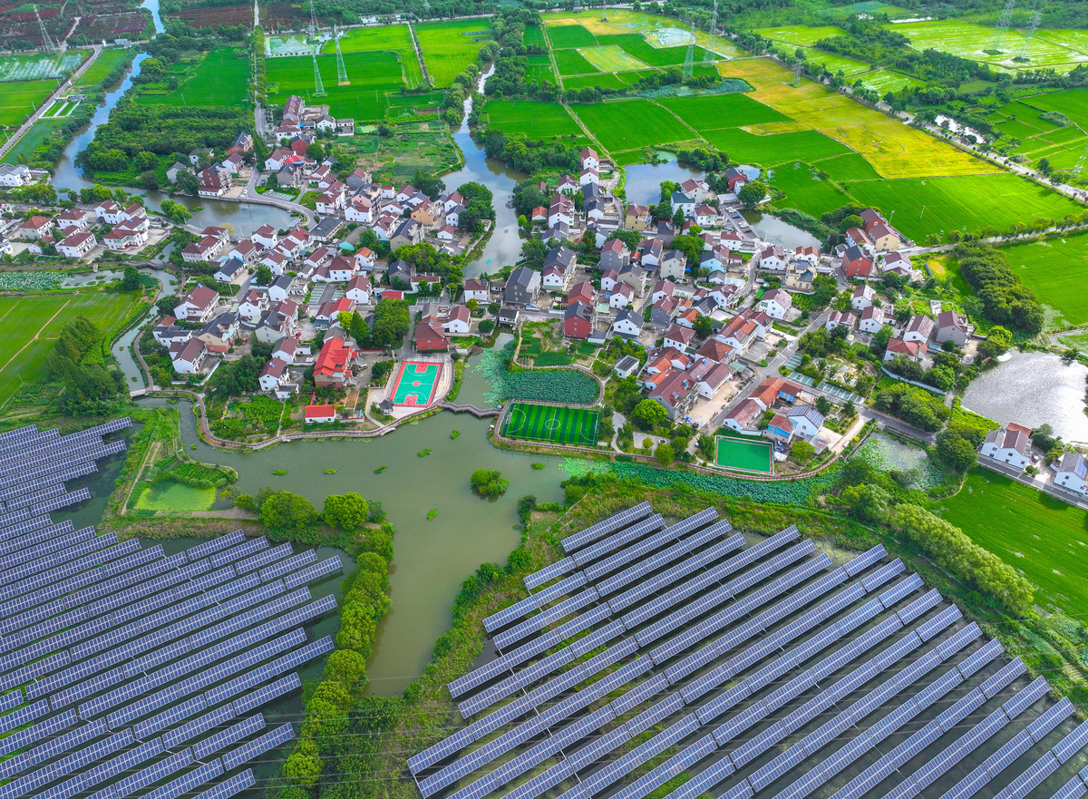 基层自治与乡村振兴的关系