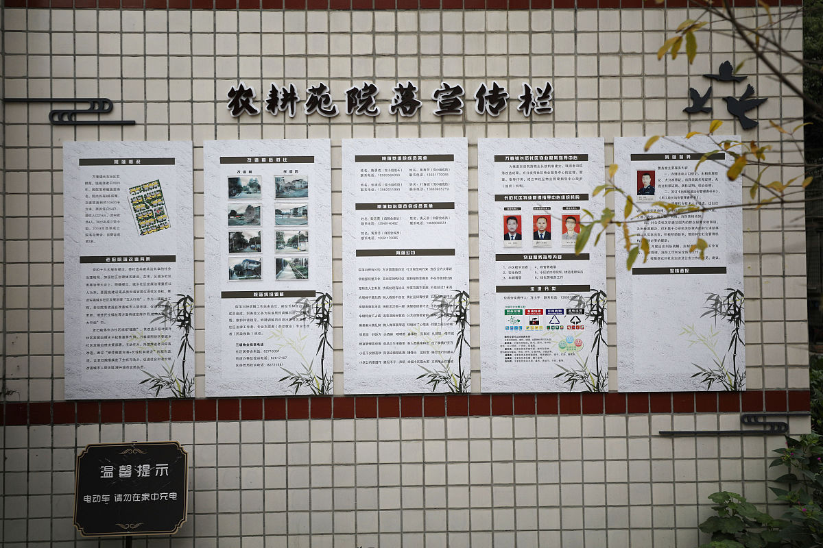 社区治理示范网格：提升社区治理效能的成功模式