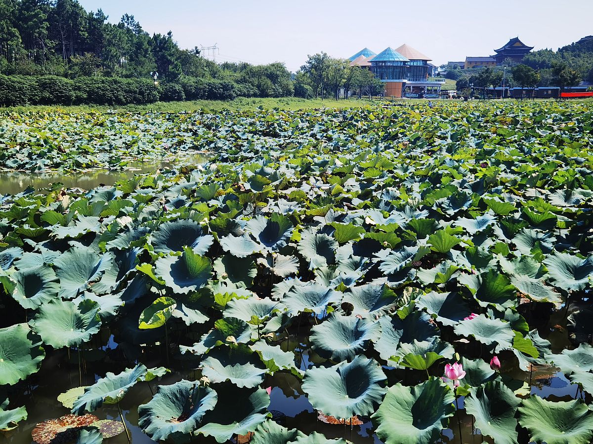 红河州农业学校怎么样？办学条件好嘛？