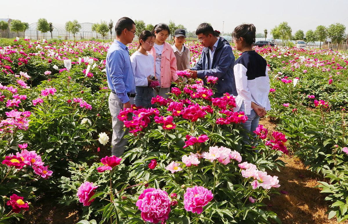 2020年贵阳新城职业学校招生简章