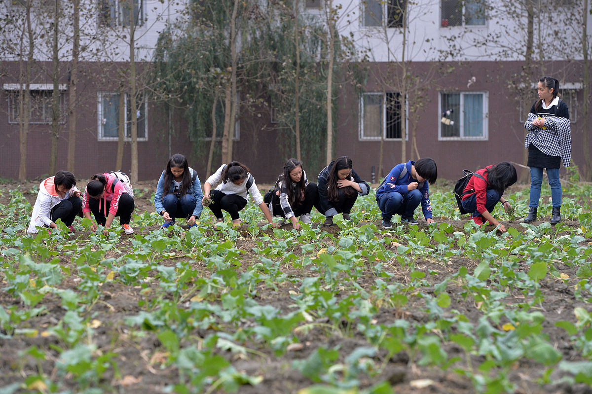 成都管的严的职业学校有哪些