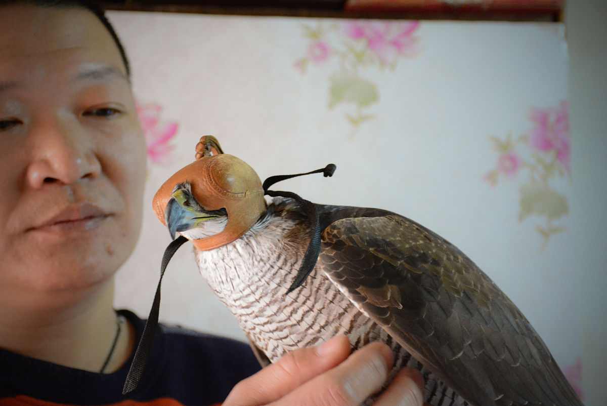 苏轼词中‘梅花’意象的文学研究价值分析