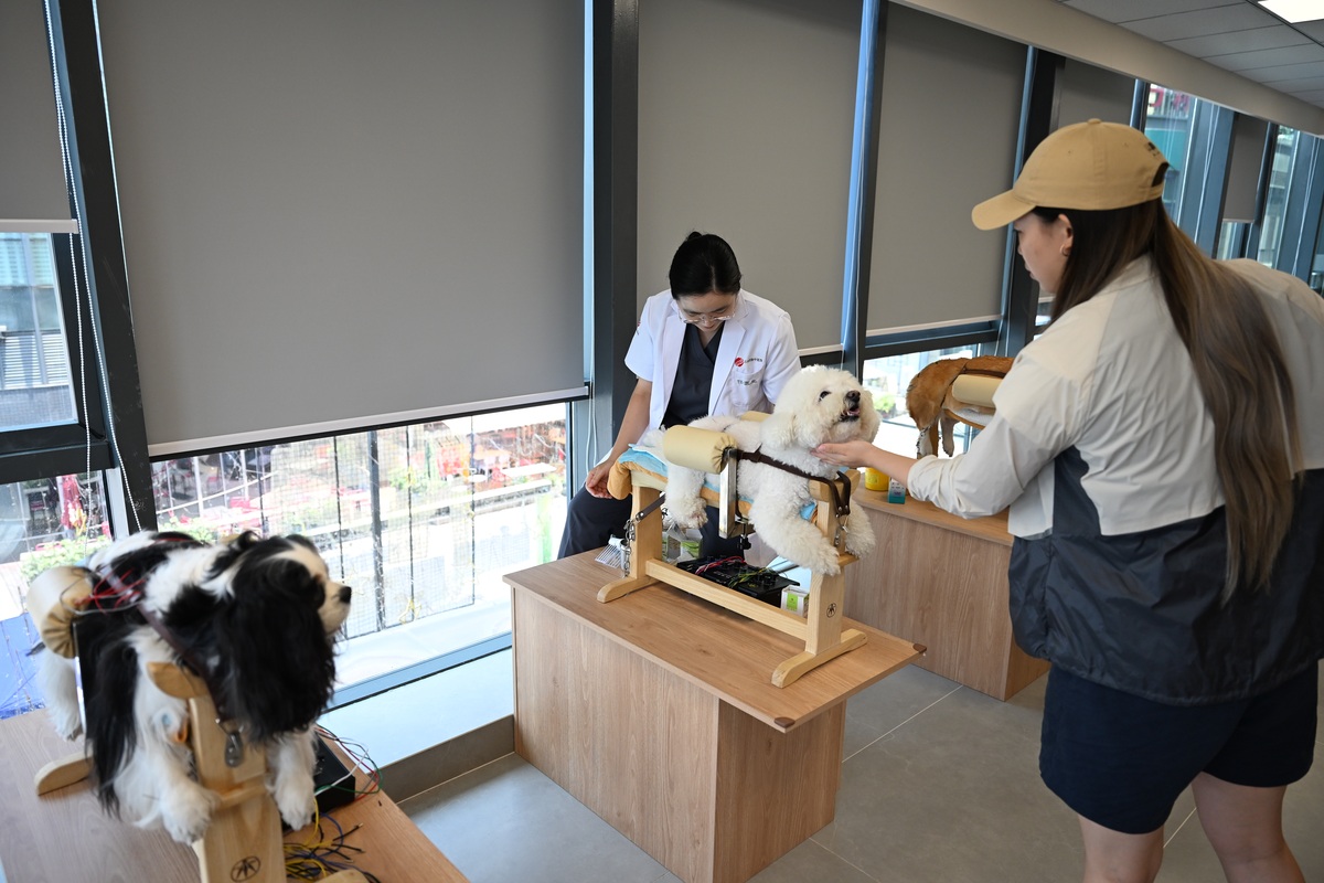 黑龙江农业工程职业学院宠物临床诊疗技术专业优势怎么样发展前景好不好呢
