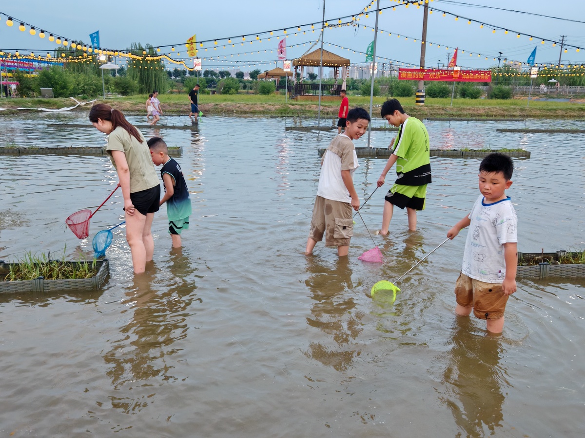 夏日童年记忆：河流里的美好时光