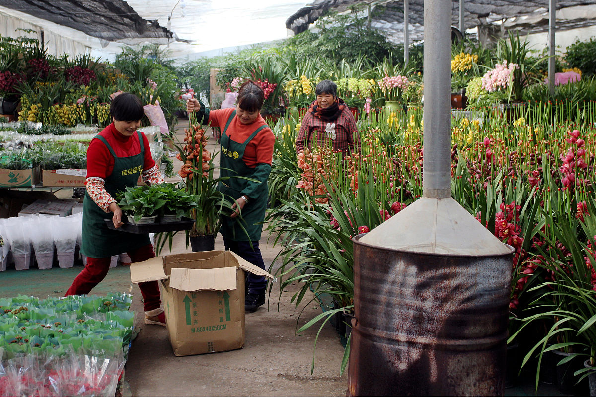 惠水中等职业学校果蔬花卉生产技术专业招生 | 2022年招生简章