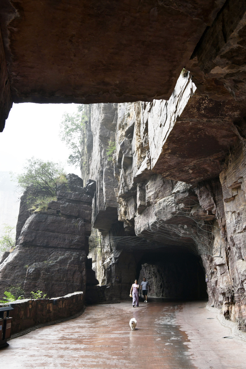 新乡小学开学时间2020