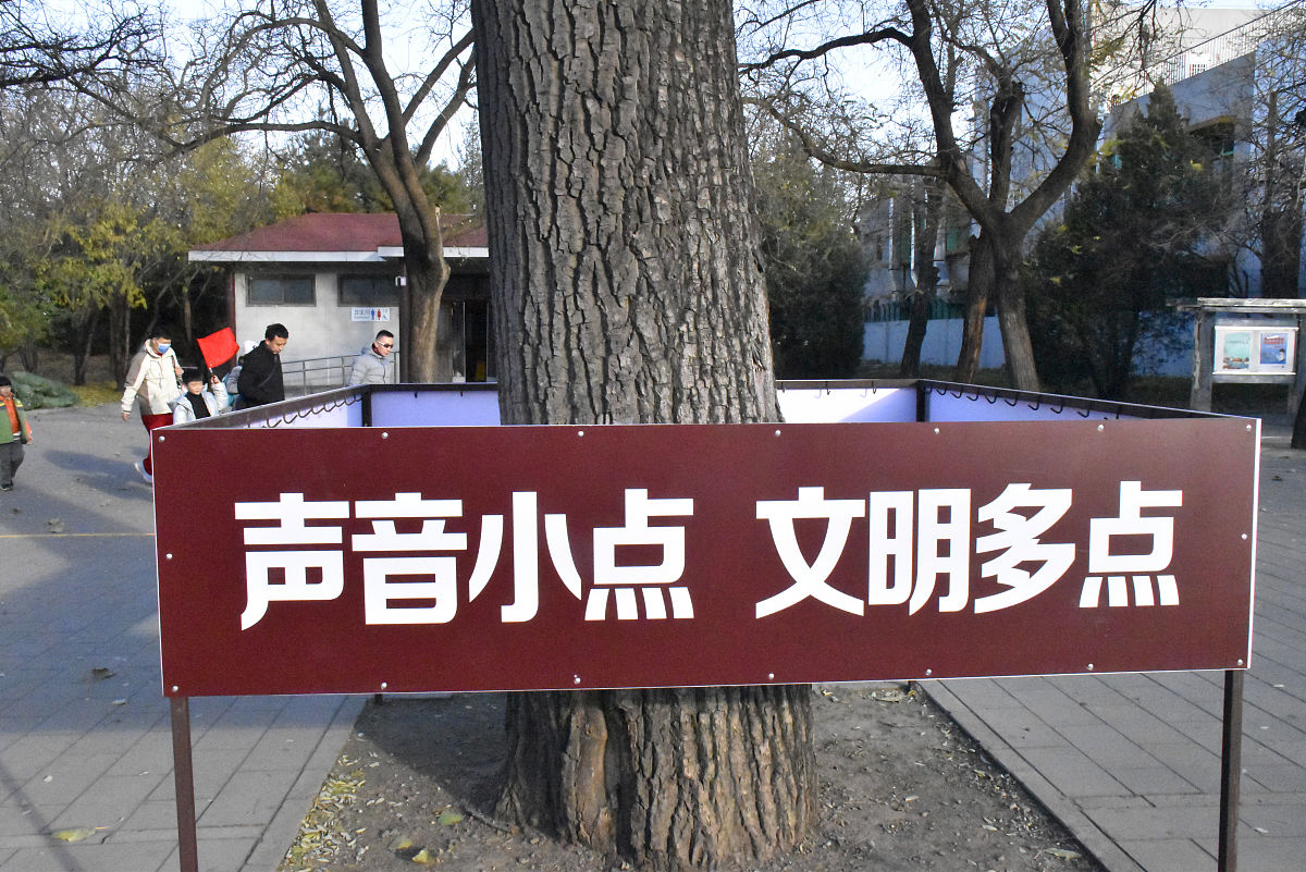 青岛树木遭刻字引热议，警方迅速介入调查并呼吁文明行为