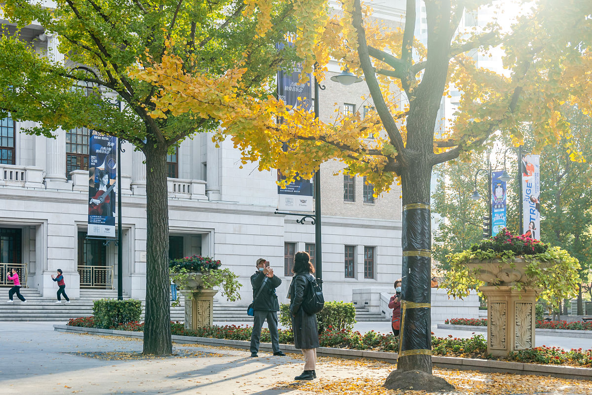 秋日银杏，爱情诗歌绝句