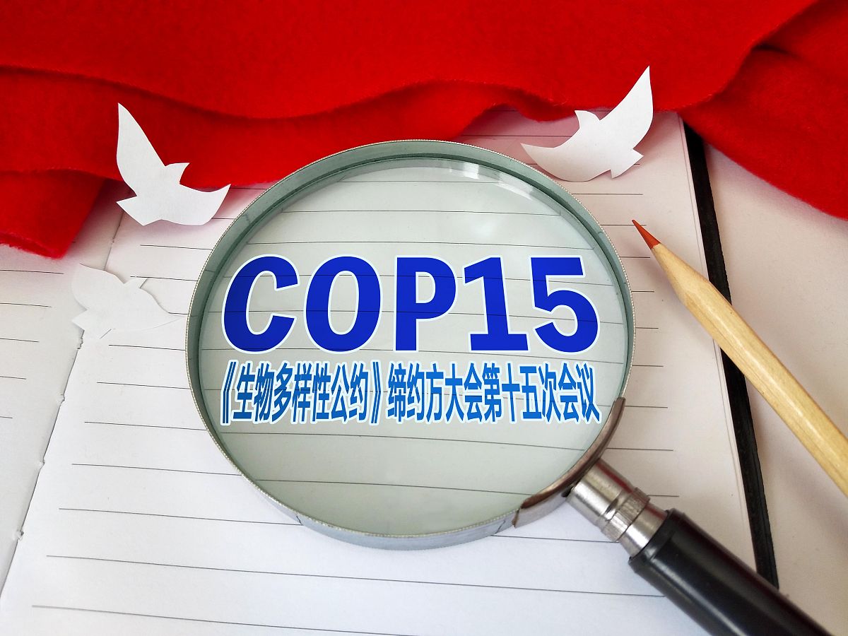 商业配图:《生物多样性公约》缔约方大会第十五次会议(cop15)