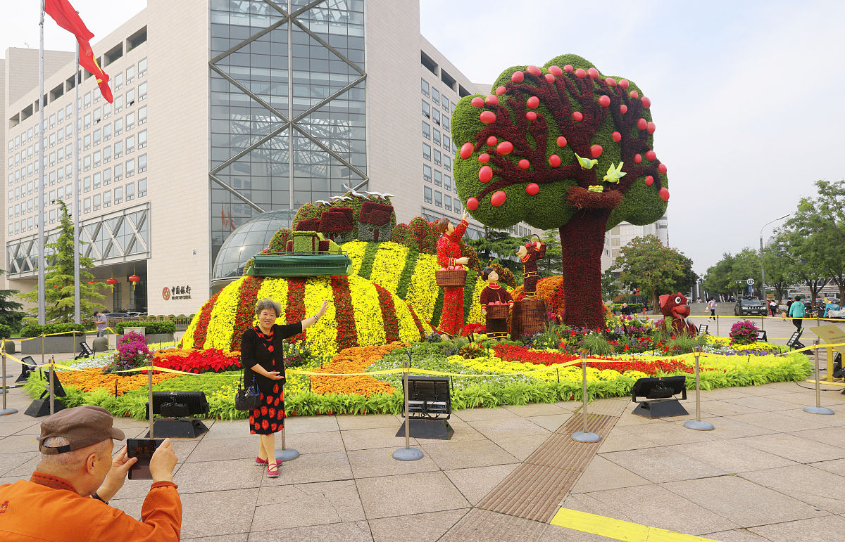 大学生党员发展规划：如何提升自我，贡献力量