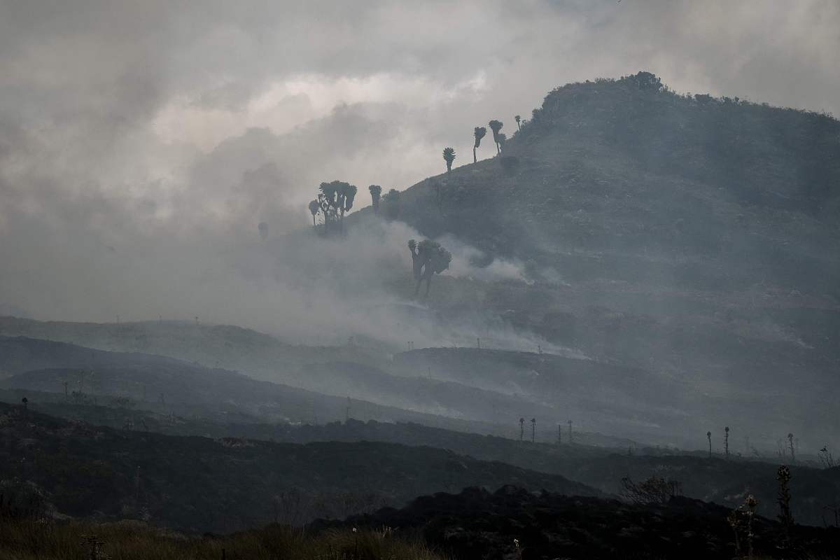 山西省林业技工学校2019年招生简章