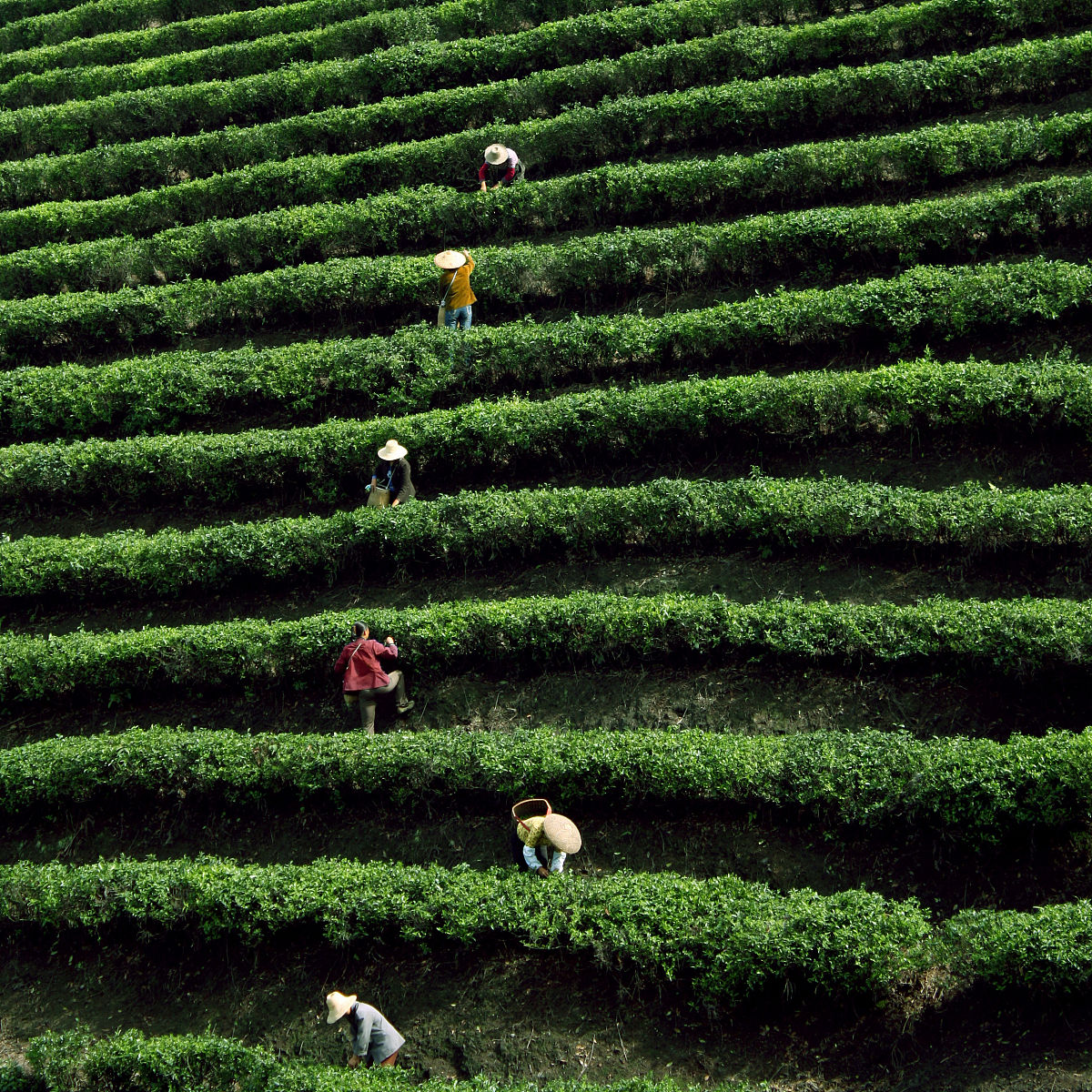 益阳媒体曝光求助平台汇总：热线电话、网络媒体、求助指南