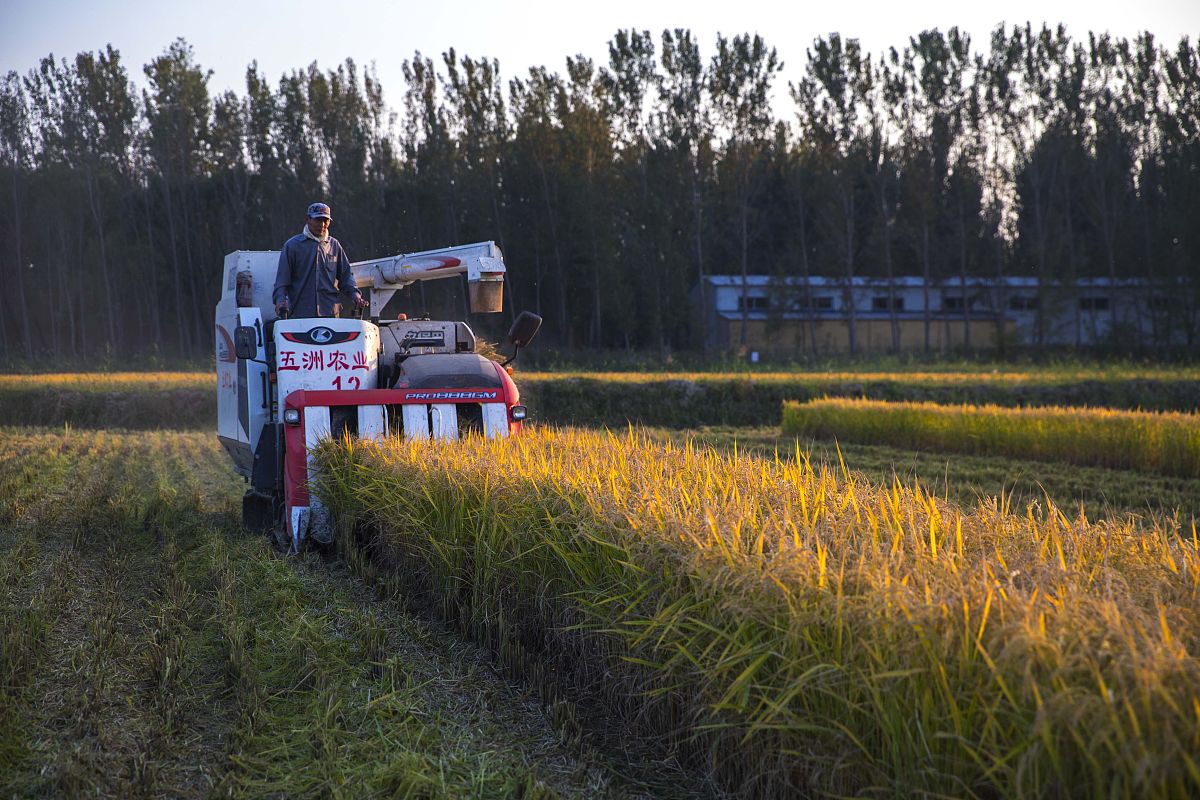 海伦市农业机械化学校怎么样？全面评估及未来展望
