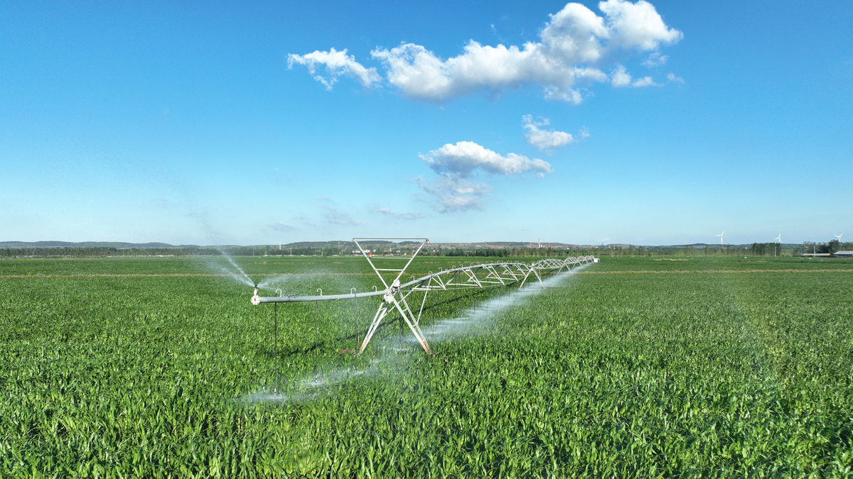 生物防治：现代农业可持续发展的重要手段