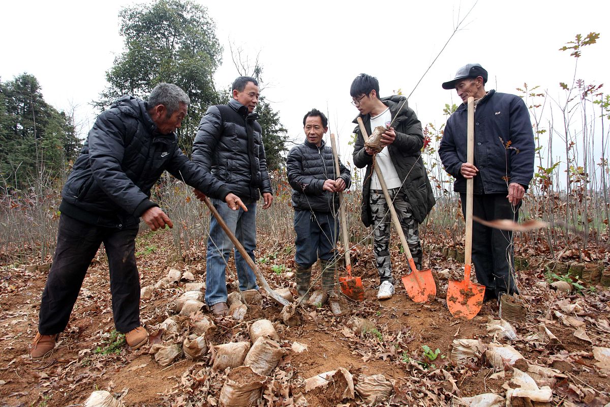 陇南农业学校园艺专业就业方向：从技术研发到创业致富