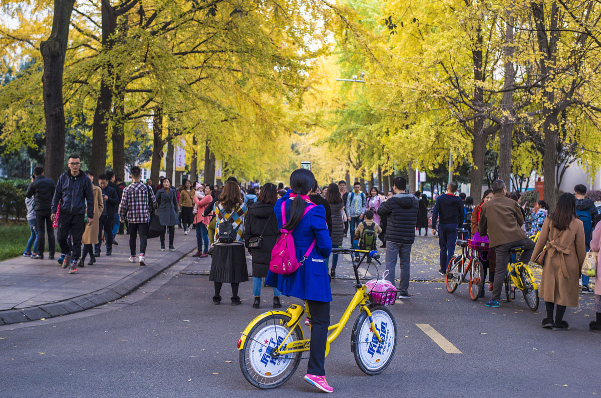 在四川读铁道运输管理专业可以去哪些学校
