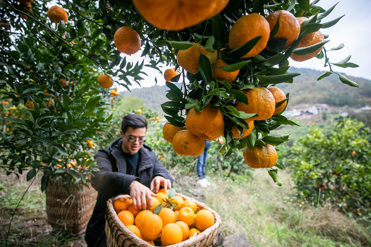 毕节市七星关区中等职业学校服装设计与工艺专业就业方向及发展趋势
