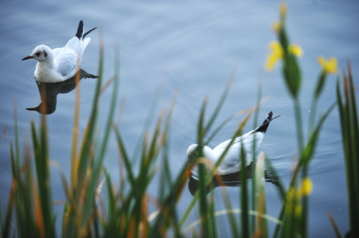 写一篇高中生与同学一起组团去看电影铃芽之旅的观后感