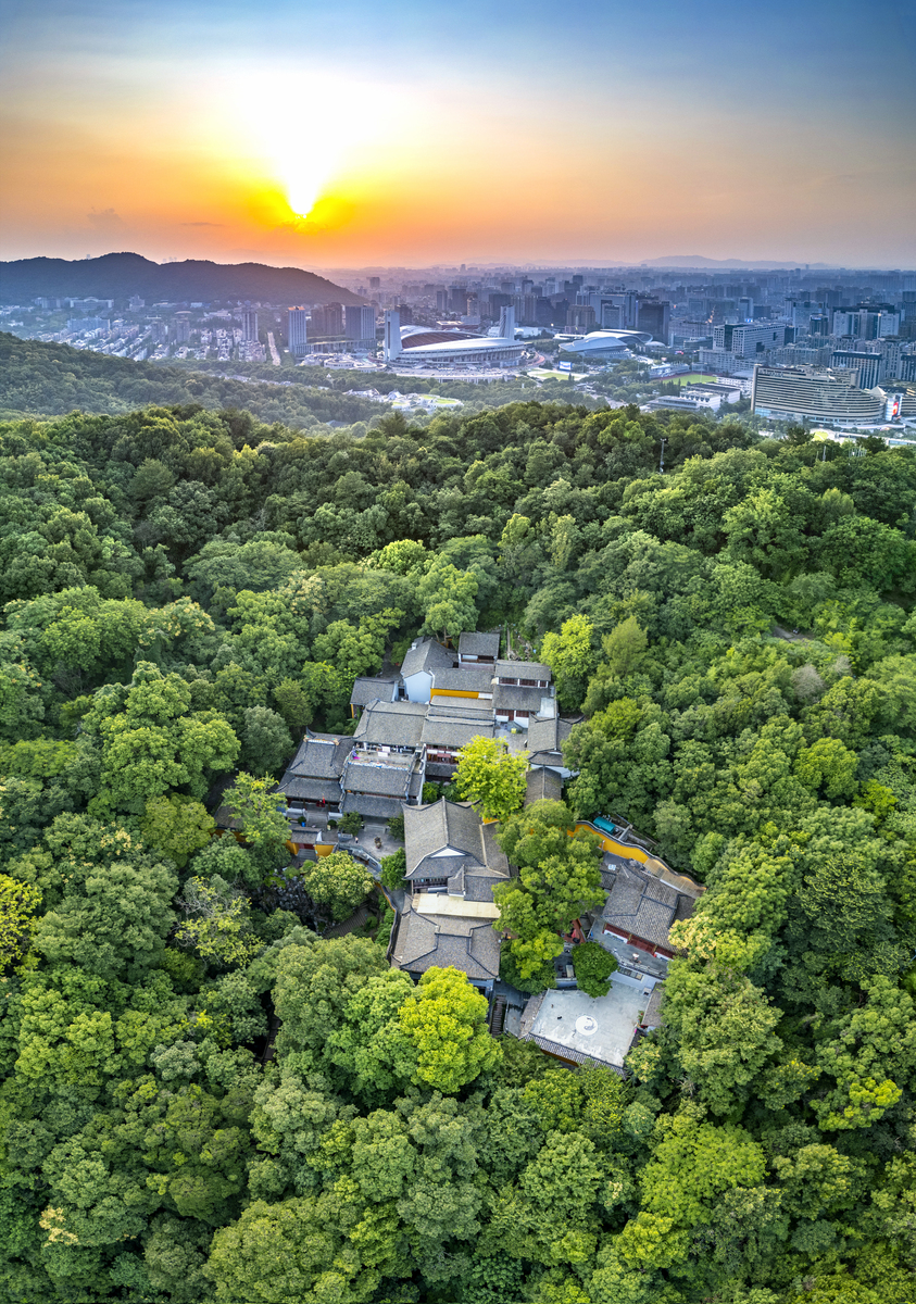 杭州小学入学条件2020