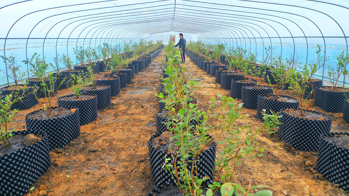 卞路口乡2023年1-9月工作总结及2024年工作计划