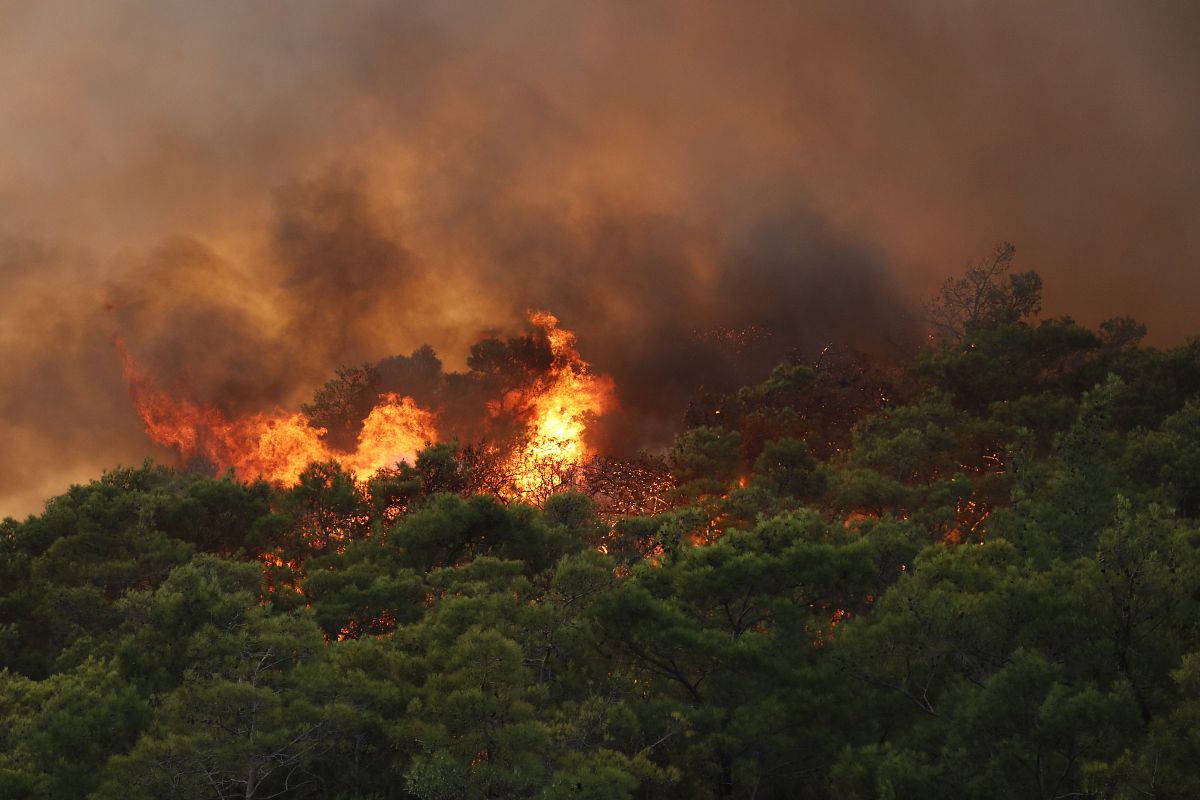 论述重庆市森林资源保护技术落后的具体体现不少于800字。