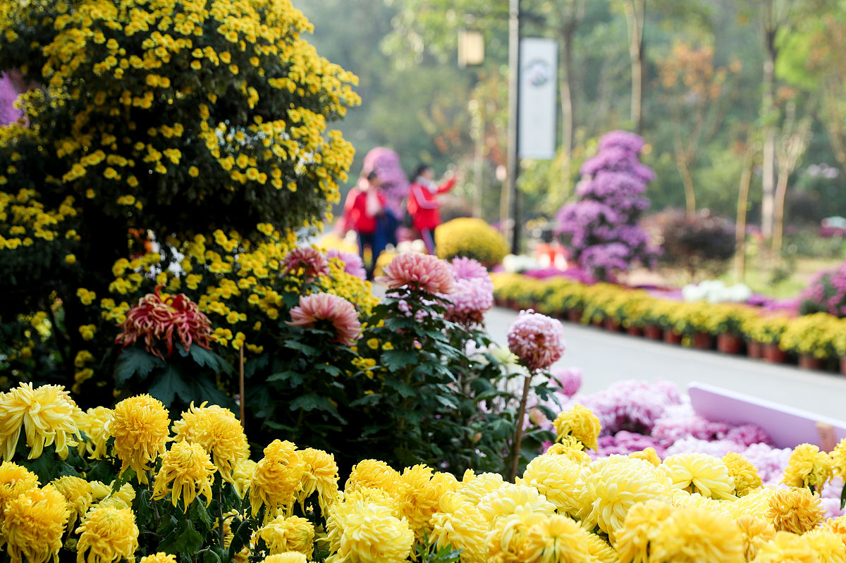广安市机电工业职业技术学校招生专业都有哪些