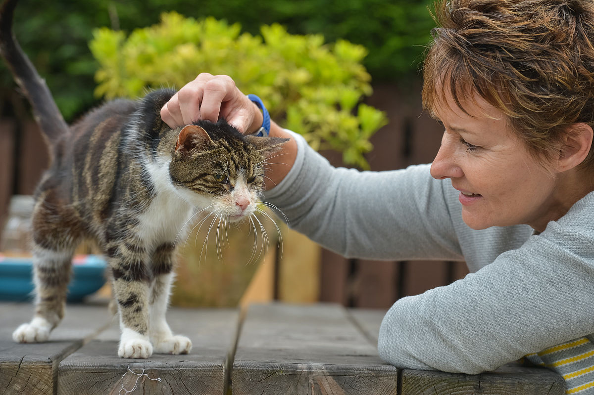 一人之下漫画：带你走进奇幻的异人世界