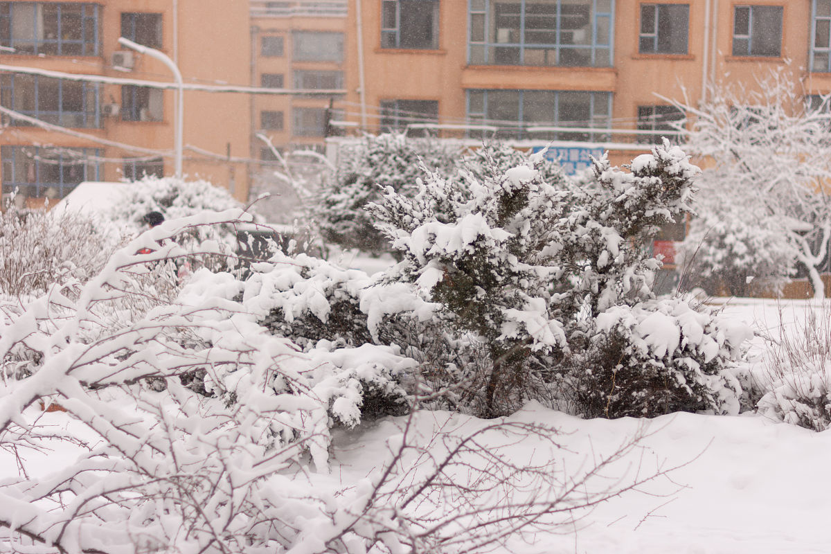 2021年11月30日,吉林省延边朝鲜族自治州延吉市暴雪来袭.