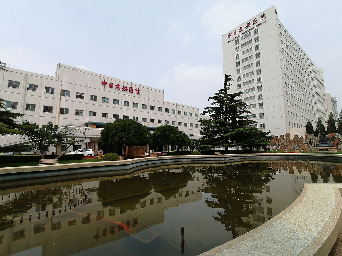 中日友好医院中西医结合肿瘤病学专业型硕士学习计划