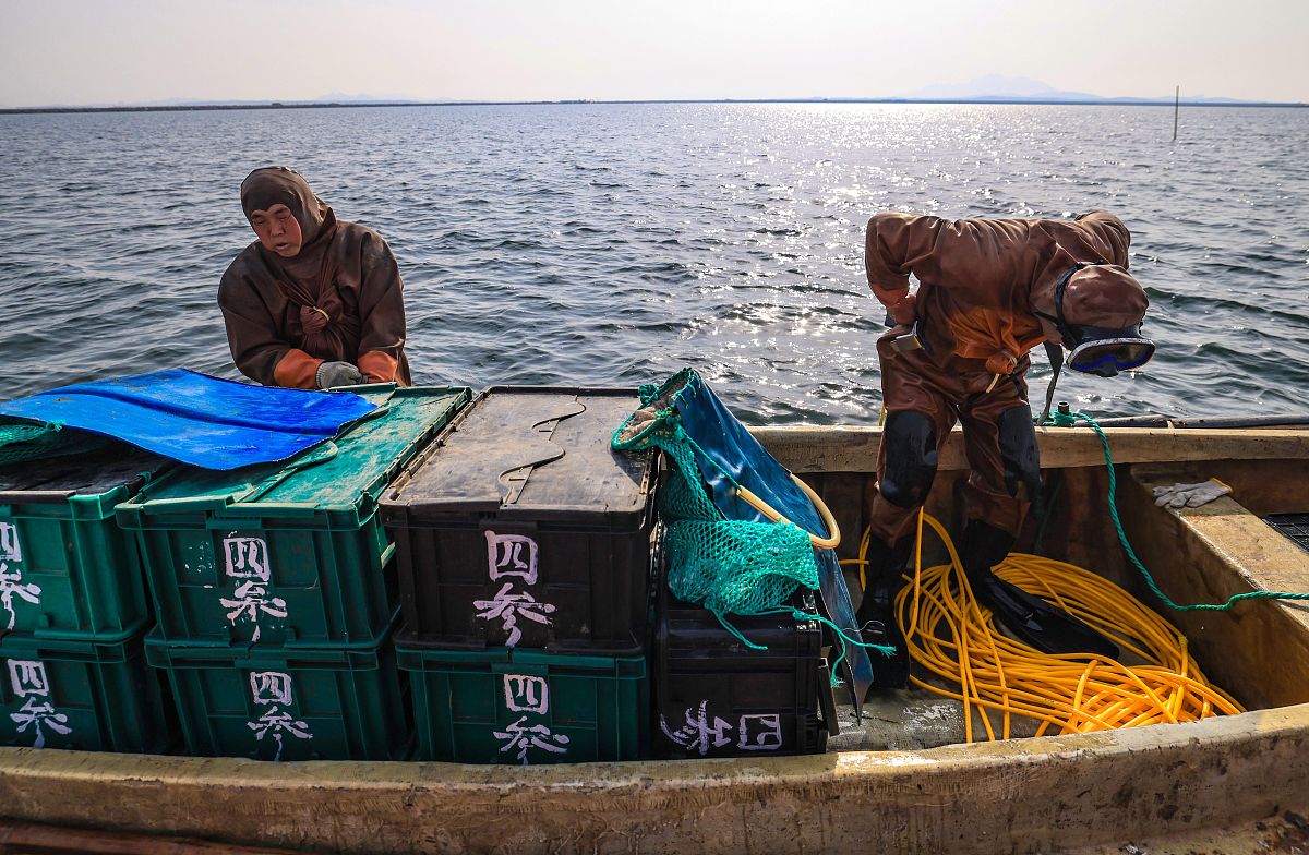 单个锚泊船舶对海参养殖区的潜在影响及防范措施