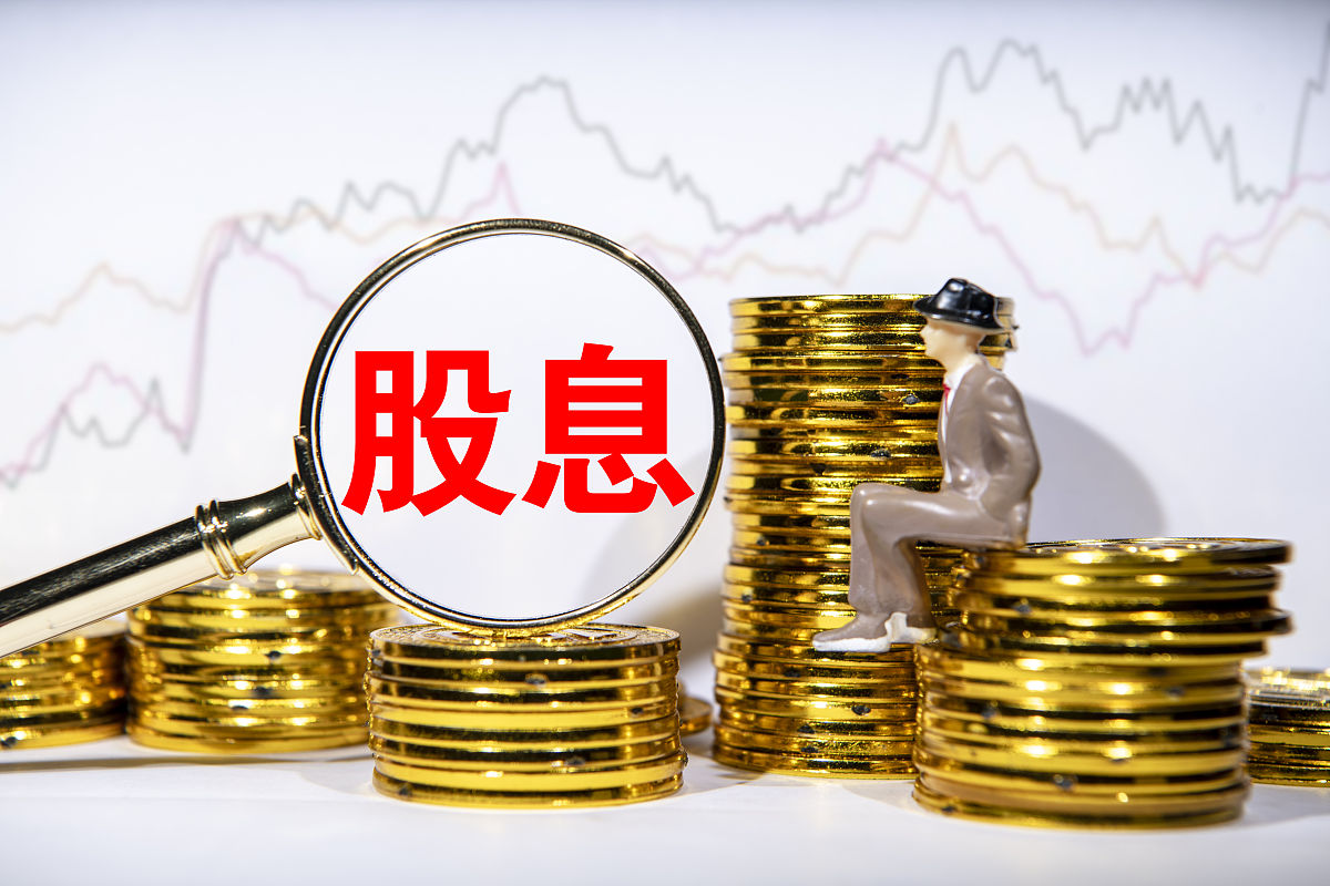 公司的股东政策由什么重要要素