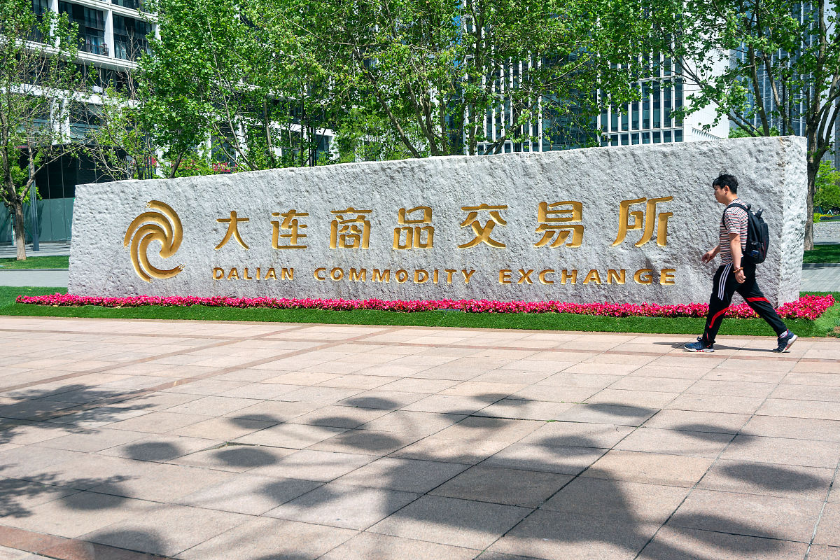 陕西广播电视大学新城分校地址在哪里