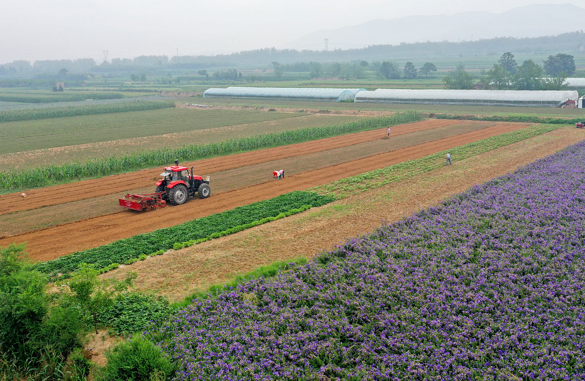 攀枝花市华森职业学校设施农业生产技术专业好就业吗