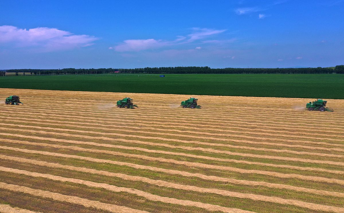 黑龙江农业工程职业学院工程机械运用技术专业就业前景分析