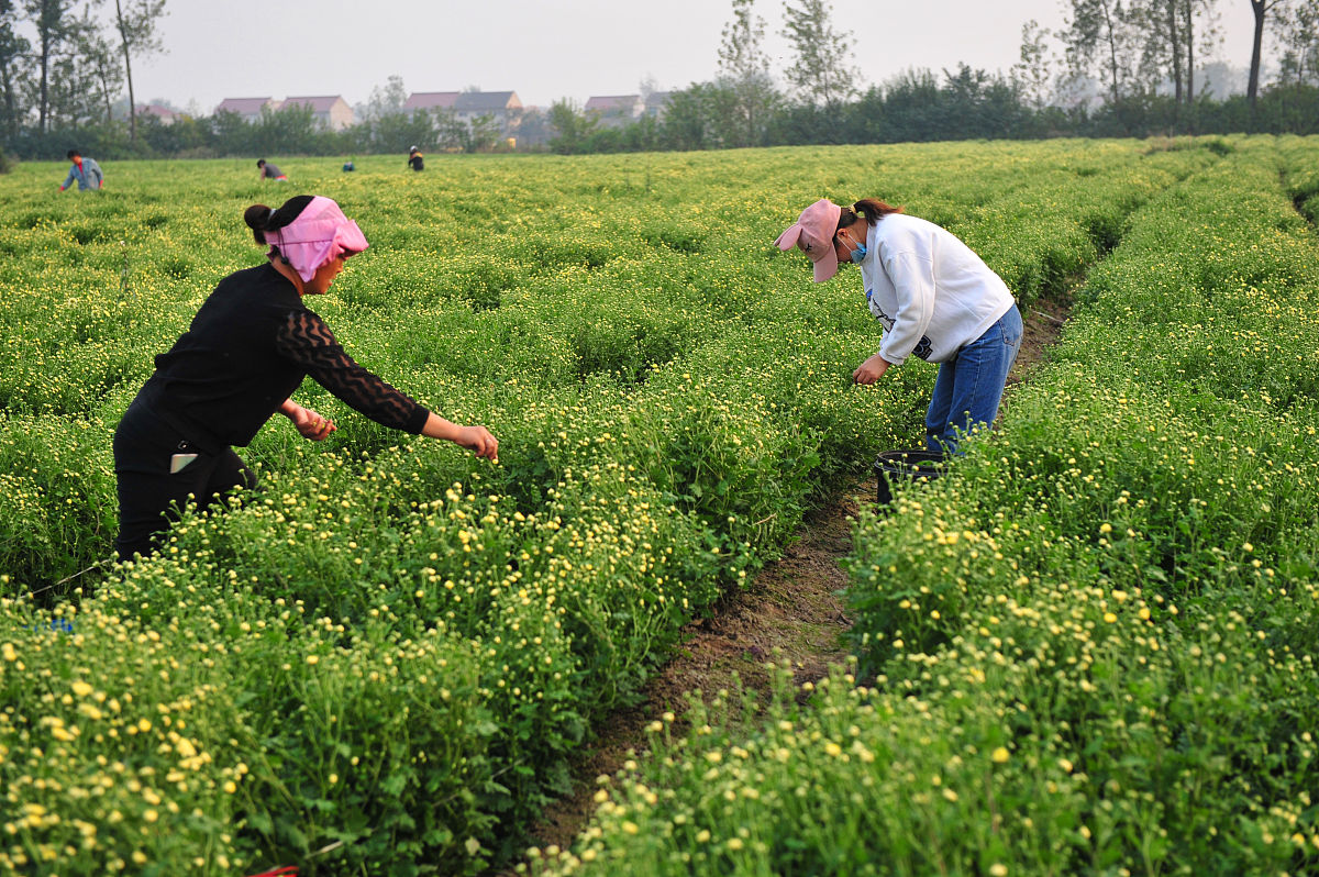 徐州职业教育中心2020年招生简章