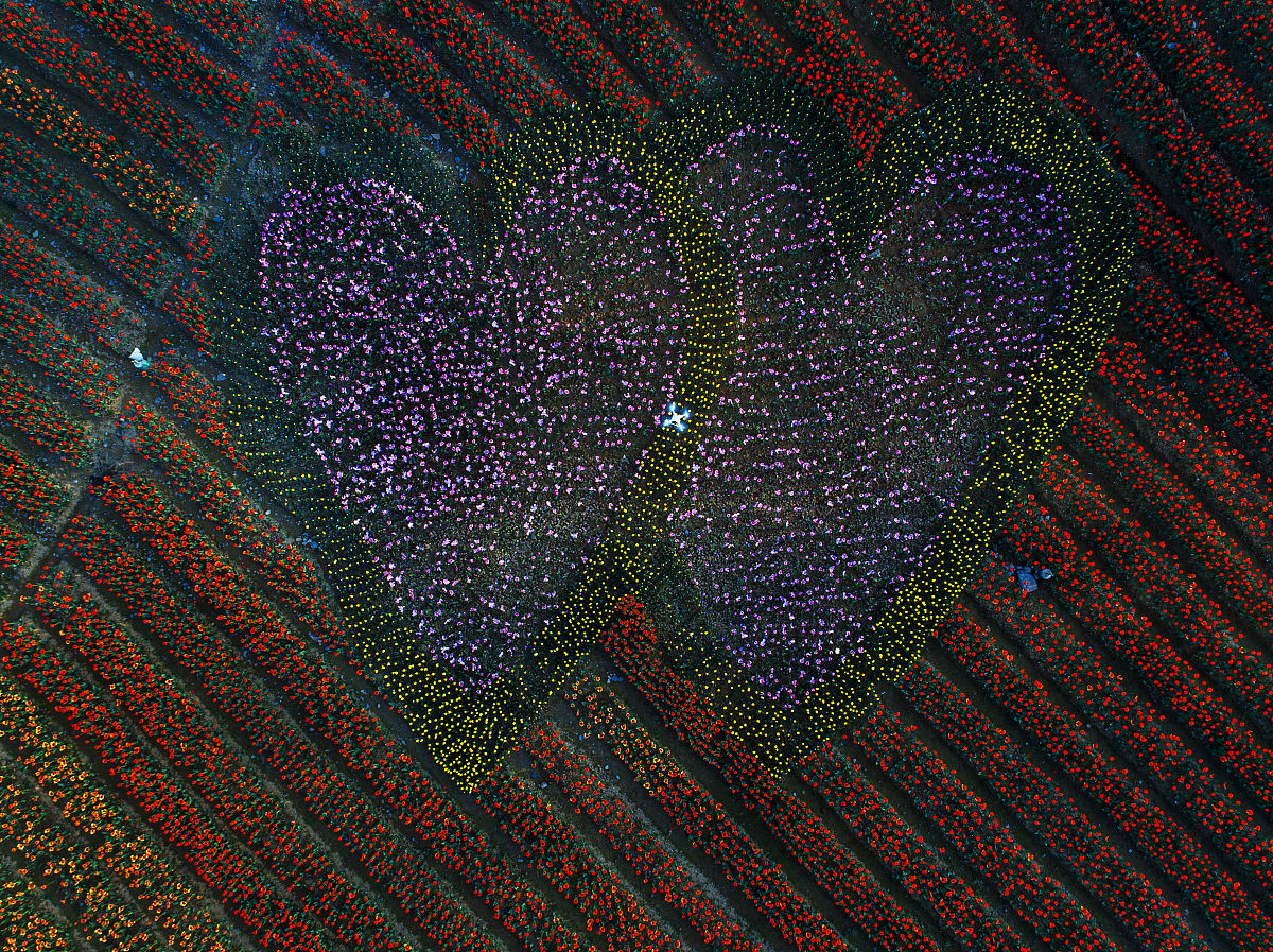 Matlab 代码实现 Gumowski-Mira 分形图