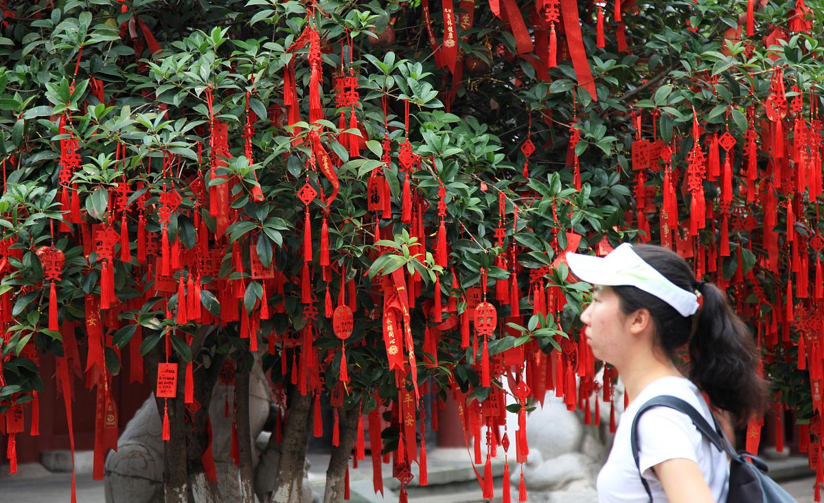 大学3年生 自己紹介｜学業、リーダーシップ、留学経験を通して成長を続ける私