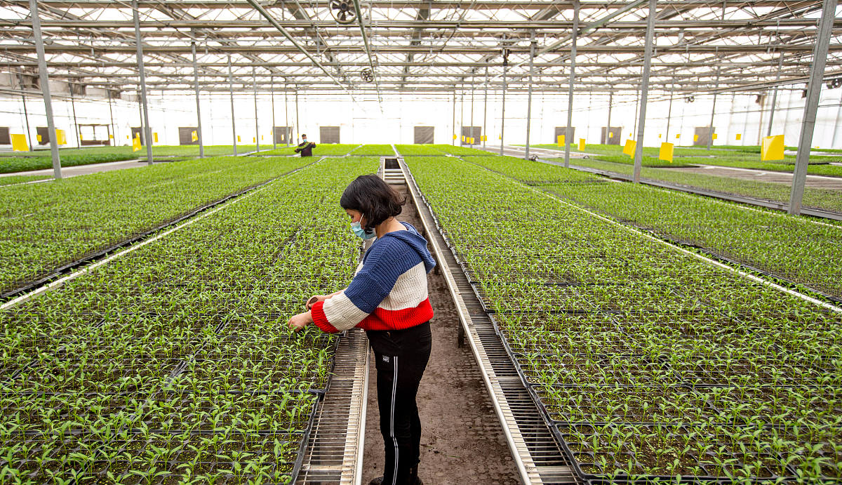 平江县职业技术学校作物生产技术专业：哪些证书可以考？