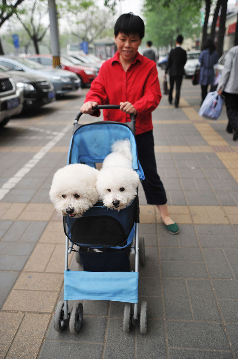 重庆财经职业学院审计专业招生：培养高素质应用型人才