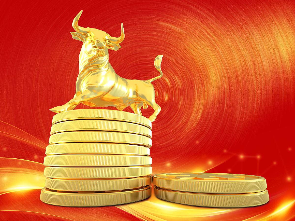 生肖龙的家业：成功与财富的象征