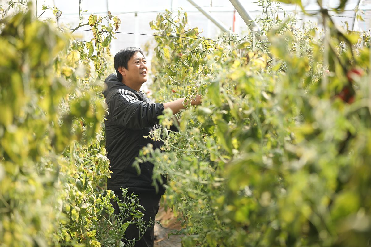 日照农业学校2021年招生简章