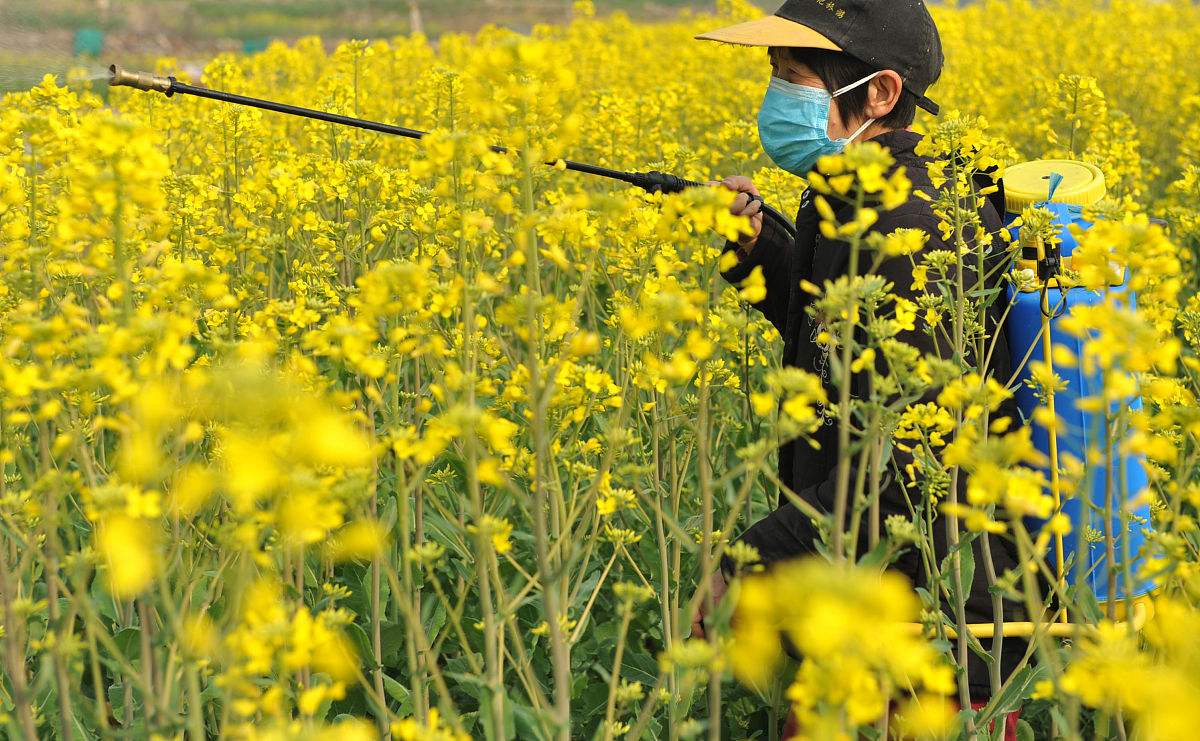 广西百色农业学校2023年招生简章