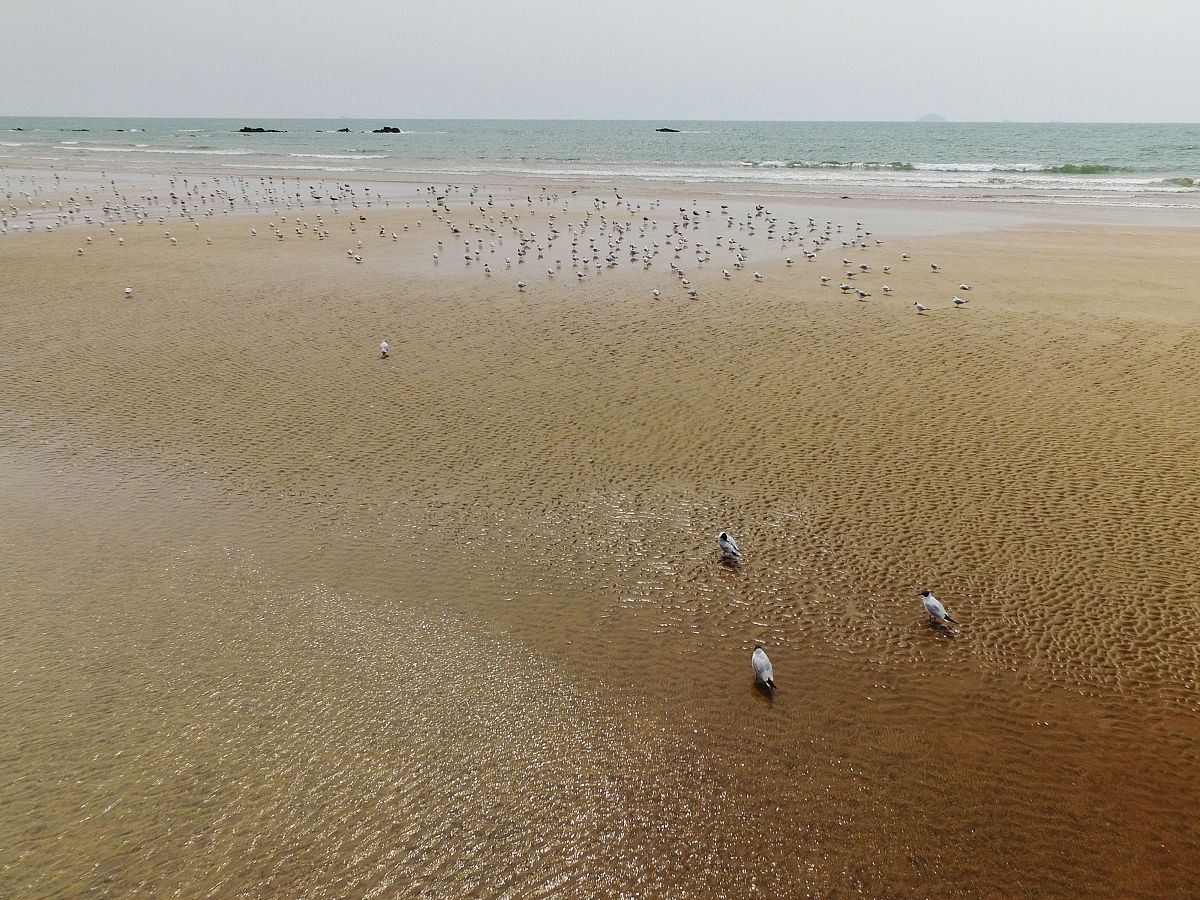 留置针时长影响因素：时机与时间因素分析