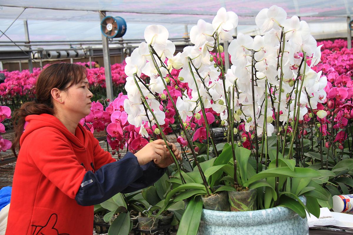 郑州绿野科技中等专业学校2021年招生专业有哪些？- 完整专业目录