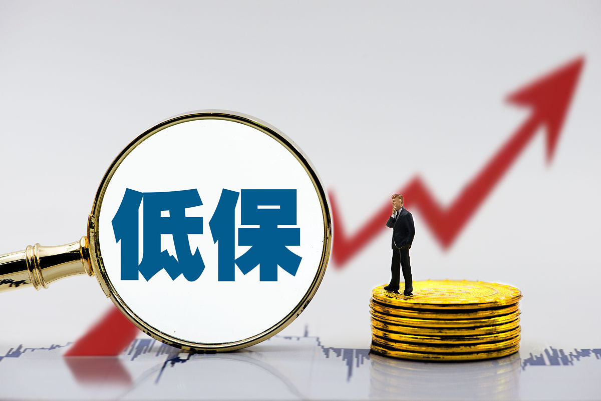 2023年低保的新标准为1、一类每人每年1200元进行补助;2、二类每人每年2400元进行补助;3、三类每人每年3600元进行补助。具体可享受低保待遇的家庭可分为以下四类无经济来源、无劳动能力、无法定赡养人或抚养人的居村民。领取失业救济金期间或失业救济期满仍未能重新就业家庭人均月收入低于市低保标准的居村民。低保户申请条件有哪些低保户申请条件有：属于申请地户籍居民持有相关户籍材料；无生活来源无劳动能