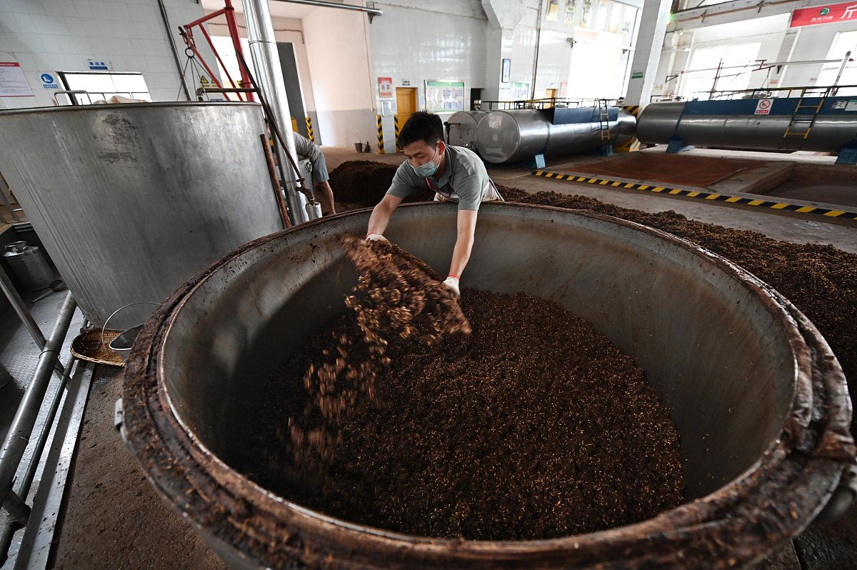 啤酒是怎么酿造的