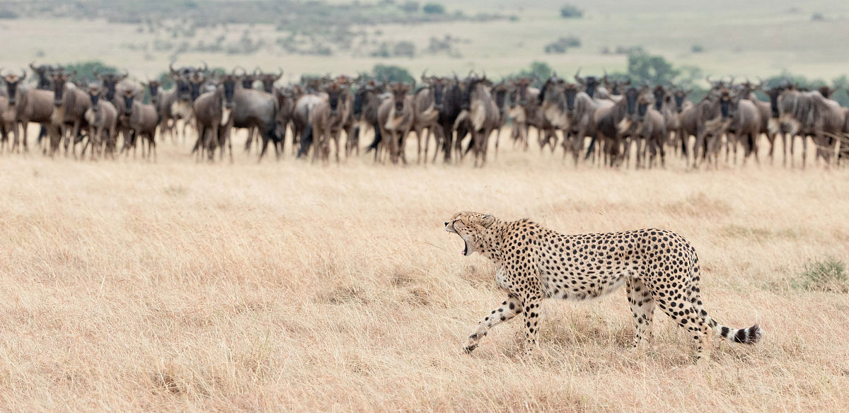 面对焦虑放自己一码还是逼自己一马反方辩论稿