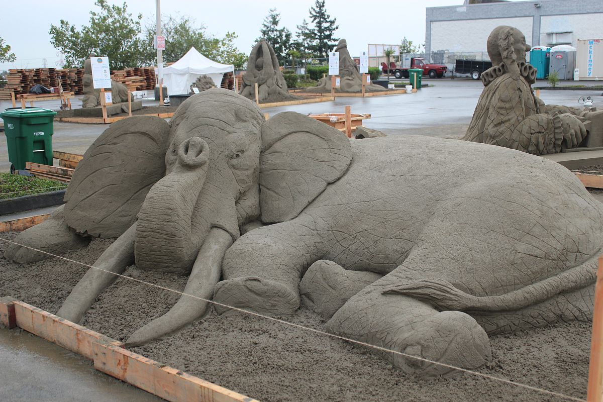 2020年四川广播电视中等专业学校招生专业及计划